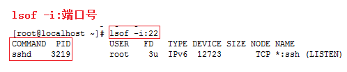 linux如何查看端口被哪个进程占用_结束进程_02