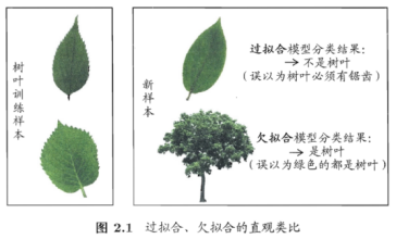 【机器学习】模型评估与选择_反例