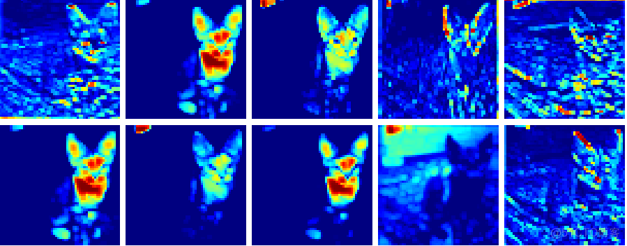 【猫狗数据集】可视化resnet18的输出_猫狗数据集_07