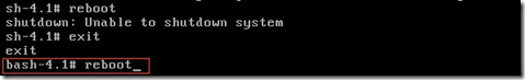 Linux救援模式_bash_10