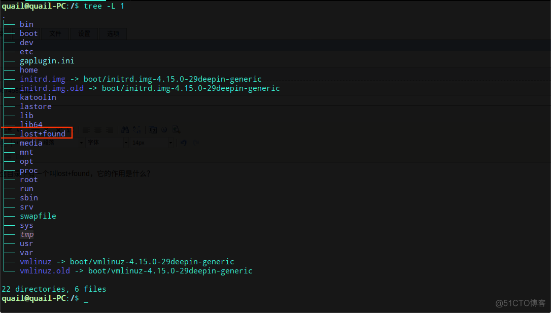 Linux系统中根目录下或者新挂载的磁盘目录下有一个叫lost+found，它的作用是什么？_文件名