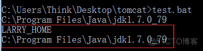 Tomcat 8 中的startup.bat_系统变量_02