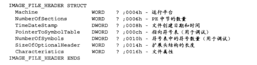 PE结构总览_字段_03