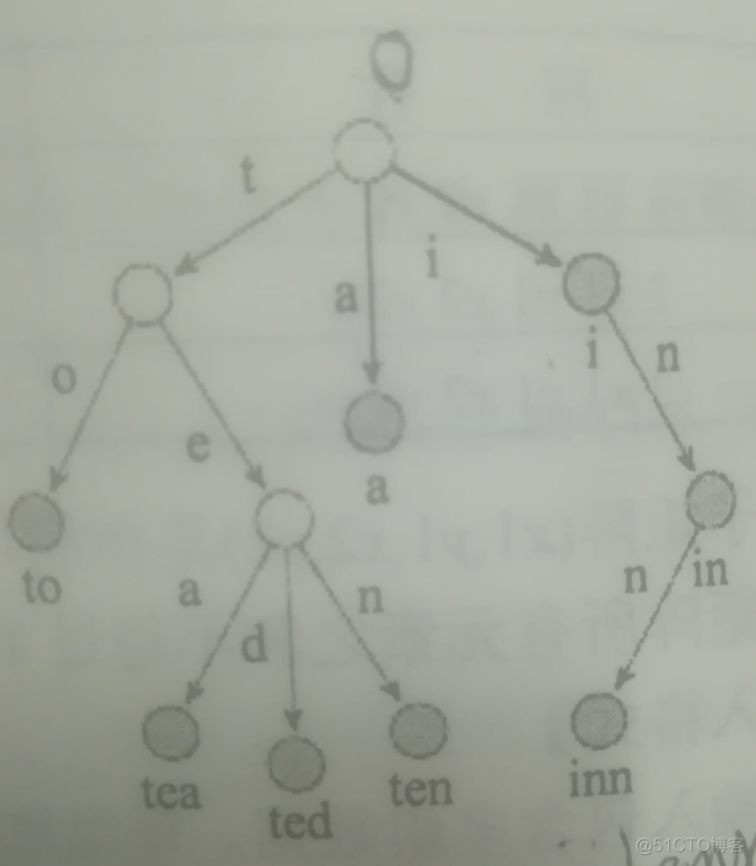 Trie入门讲解_结点