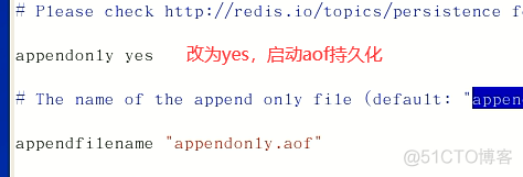 Redis持久化之aof_Redis_03