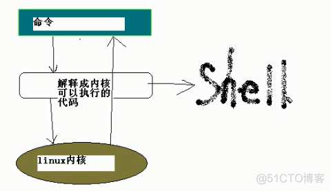 shell的初步介绍_环境变量