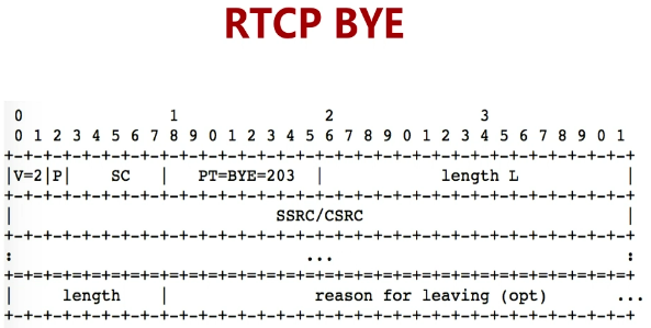 WebRTC学习（十一）实时数据传输网络协议详解_WebRTC_18