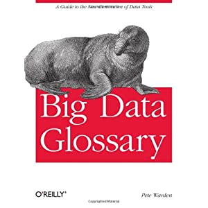 《Big Data Glossary》笔记_关系型数据库