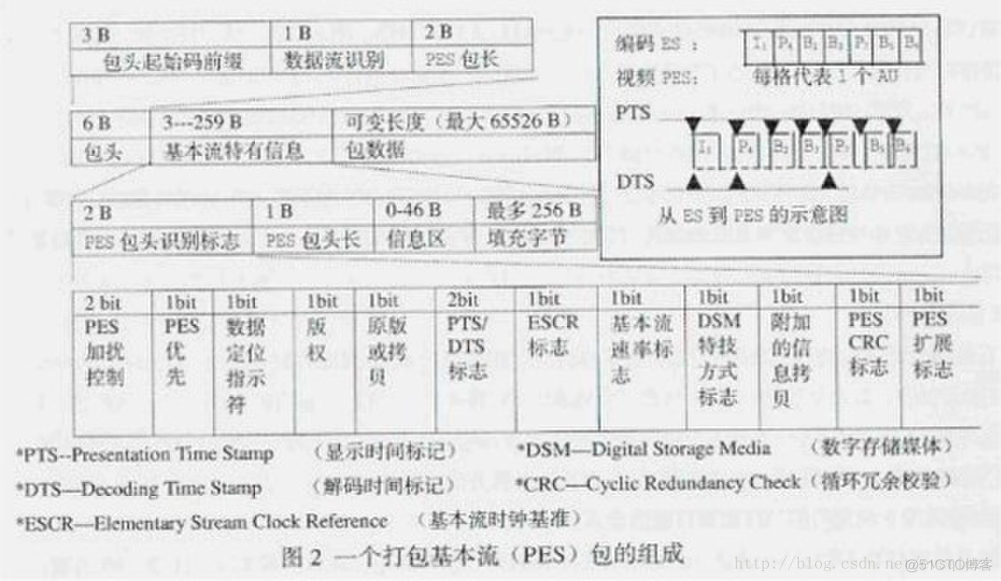 TS/ES/PS_字段_04