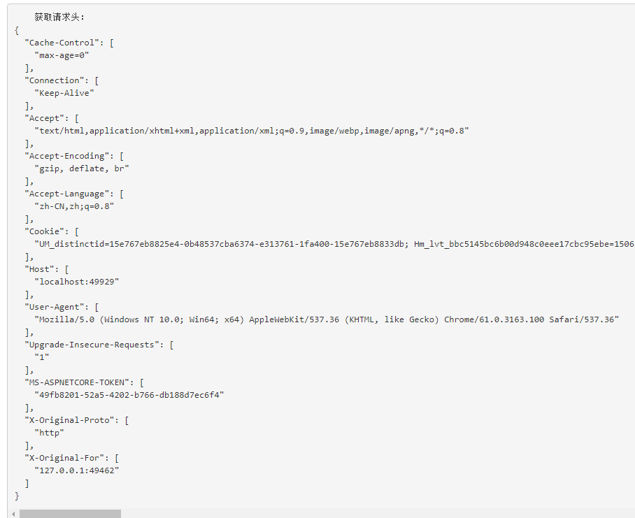 Asp.Net Core获取请求信息/获取请求地址_json_03