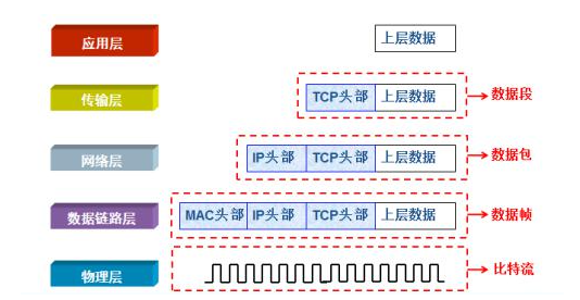 计算机网络（三）——网络分层结构_字段_05