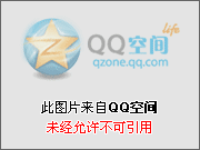 C#开发ActiveX控件及指纹采集_显示图片_02