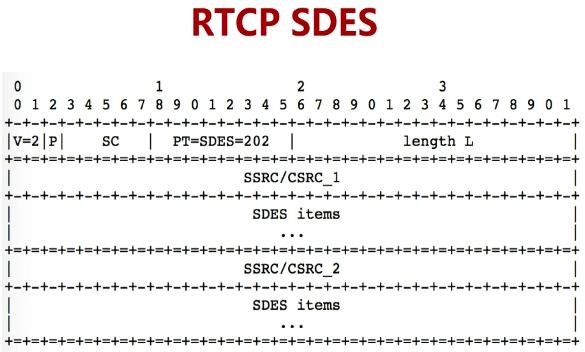 WebRTC学习（十一）实时数据传输网络协议详解_WebRTC_15