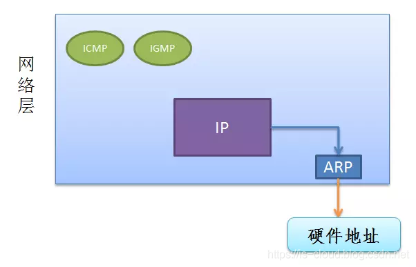 ARP 协议_数据帧_02