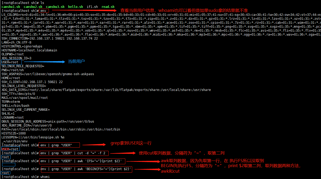 Shell单分支if语句（1） - 语法格式_bash