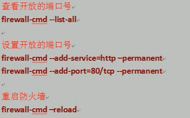 Nginx：反向代理（案例）_docker_10