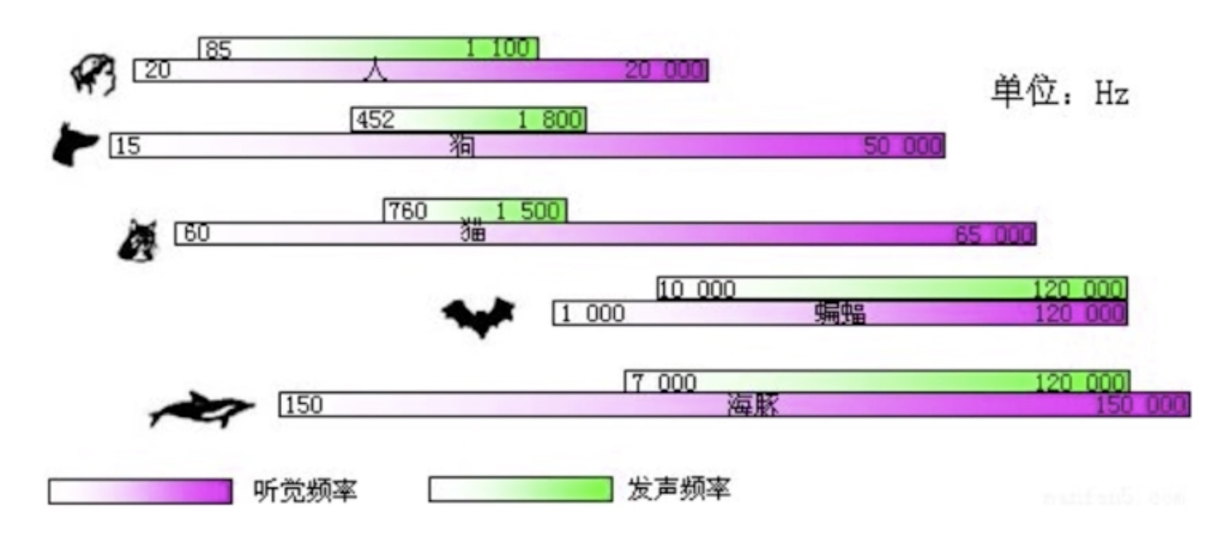 音视频与直播_数据_07