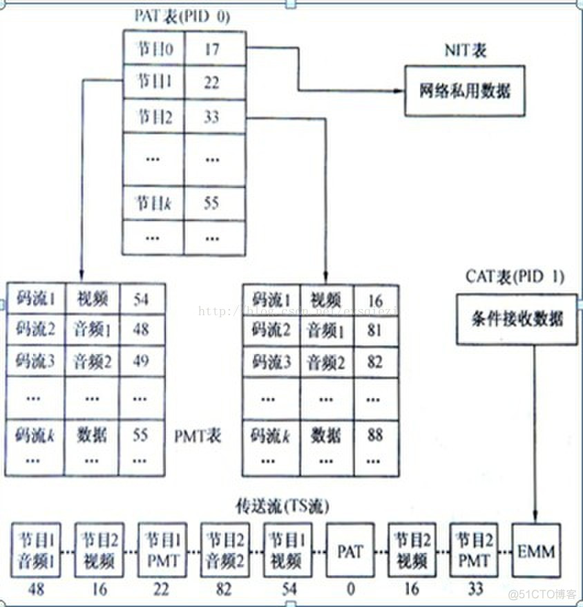 TS/ES/PS_字段