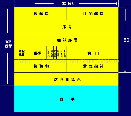 UDP与TCP报文格式，字段意义_数据_03