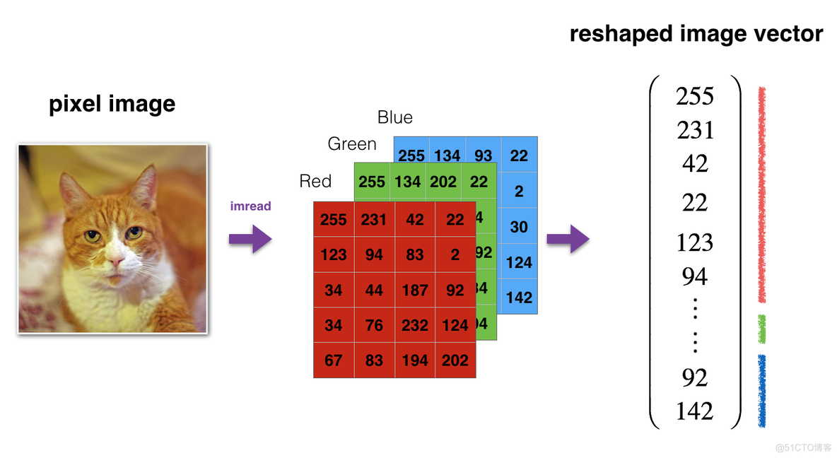 Deep Neural Network for Image Classification: Application_数据集_02