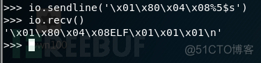 Linux pwn入门教程——格式化字符串漏洞_重定位_11