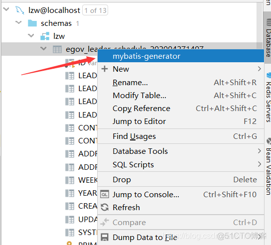 Intellij IDEA插件Free Mybatis plugin_搜索_06