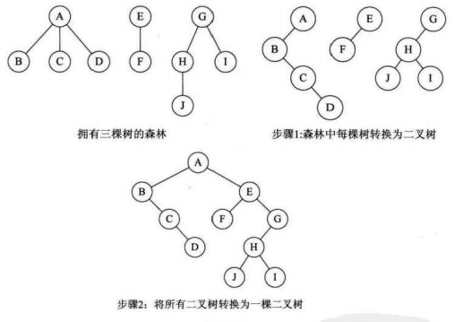 数据结构（四）树---树的转换_连线_02