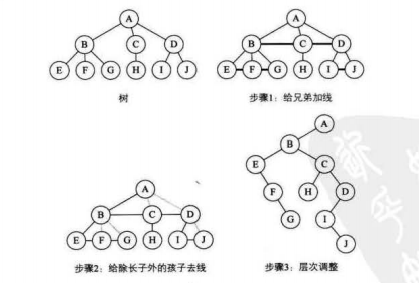 数据结构（四）树---树的转换_二叉树