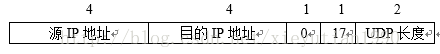 UDP与TCP报文格式，字段意义_数据_02