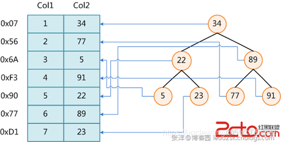 MySQL常见知识点1_数据