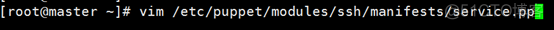 Puppet的搭建和应用_客户端_67