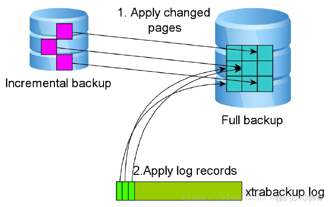 xtrabackup 备份恢复过程详解_回滚_04