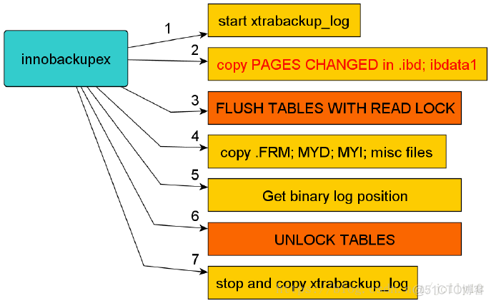 xtrabackup 备份恢复过程详解_回滚_03