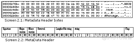 （翻译）《Metadata Tables》第二章 元数据头_数组