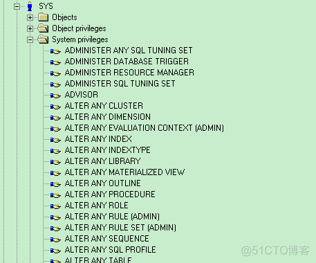 PL/SQL Developer的bug？关于权限的问题_数据库_06