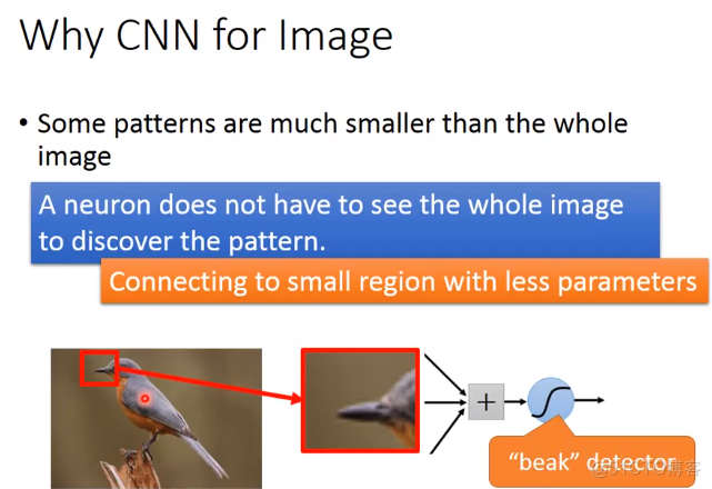 Convolutional neural network (卷积神经网络)_卷积核_02