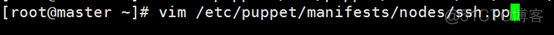 Puppet的搭建和应用_服务器_73