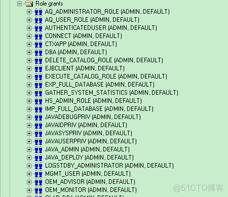 PL/SQL Developer的bug？关于权限的问题_Oracle_07