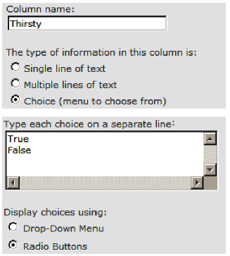 SharePoint 2010 At Work--Taming the Elusive Calculated Column：Logic Functions_自定义_06