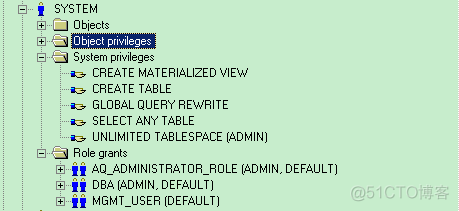 PL/SQL Developer的bug？关于权限的问题_Oracle_04