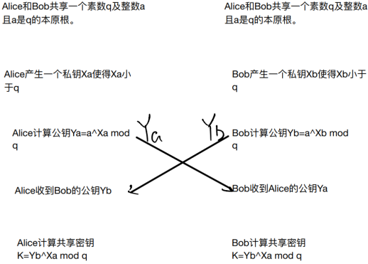 Elgamal加密算法和数字签名_原根