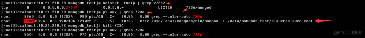 使用Replica Set副本集方式搭建mongodb副本集群_存储数据_05