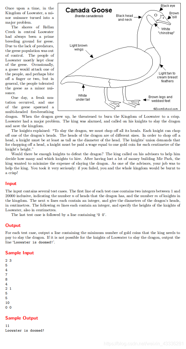 The Dragon of Loowater_#include