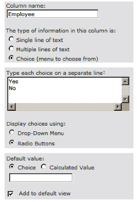 SharePoint 2010 At Work--Taming the Elusive Calculated Column：Logic Functions_单选框_36