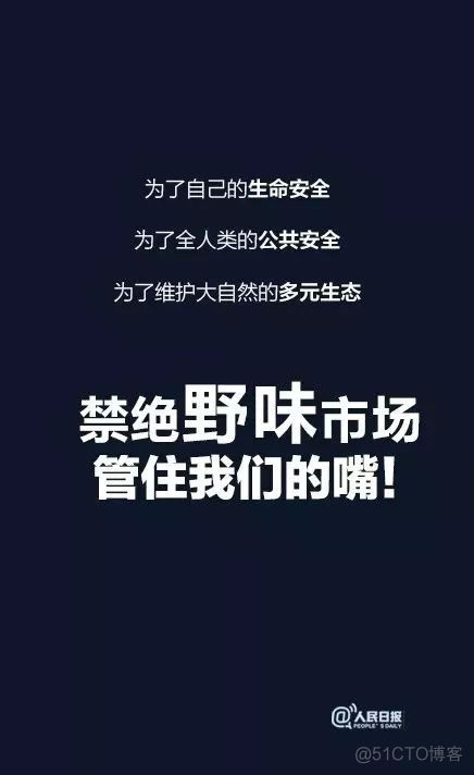 火了：一只蝙蝠的自述_编程语言_08