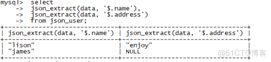 MySQL中存储json格式数据_数据_02