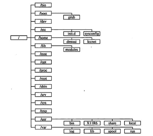 每天一个linux命令（23）：Linux 目录结构_数据