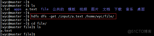 Hadoop - hdfs dfs常用命令的使用_hdfs_05