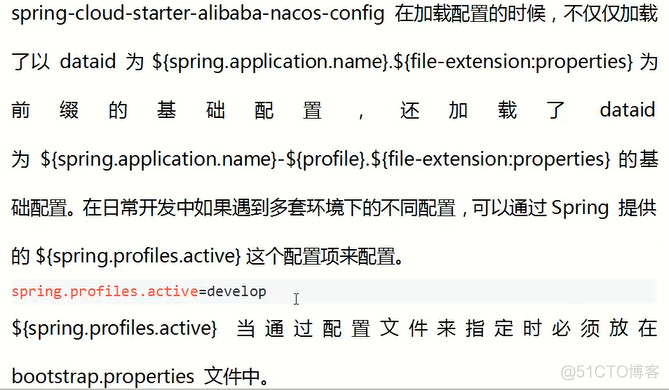 Spring Cloud Alibaba - Nacos_properties文件_07
