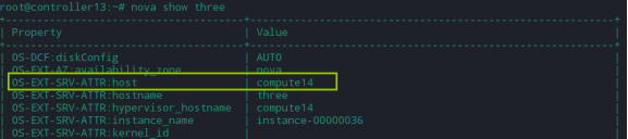 OpenStack虚拟机冷迁移与热迁移_预处理_13